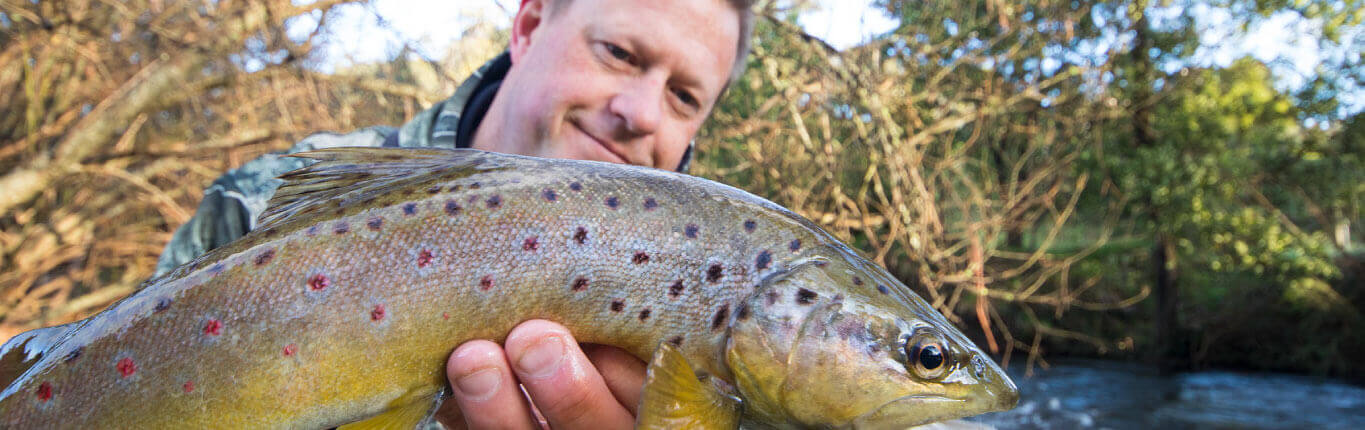 Trout Fishing -  Tips From The Pros
