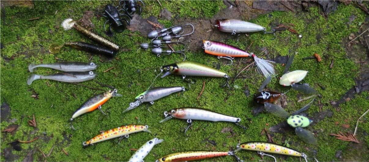 Trout fishing - tips from the pros
